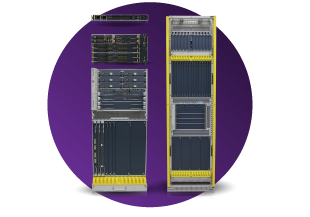 NPT IP Routing & Packet Transport